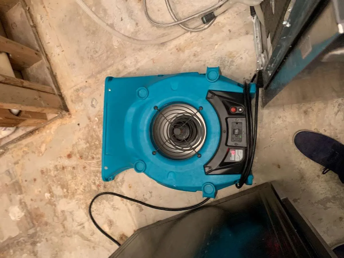 Air mover drying equipment for Mold Remediation & Removal in Levelland
